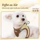 Rabbitgoo Dog Harness Small Sized and Leash Set, Step in Soft Light Puppy Vest, Breathable Mesh Pet Harness, Reflective for Safe Easy Walking, Brown & Beige, M