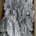 Frosted Pine Needle Picks