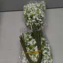 N&T NIETING 12Pcs Babys Breath Artificial Flowers,Real Touch Fake White Flowers Faux Flowers Bouquets for Vase Home Office Wedding Spring Winter Indoor Outdoor Centerpiece Table Decorations