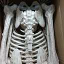 JOYIN 5 FT Halloween Skeleton Life Size, Stayable Posable Skeleton Decor, Full Body Movable Joints Giant Skeletons for Halloween Decoration Outdoor, Haunted House Prop, Spooky Scary Graveyard Party (Beige, M)