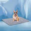 Cozyide Dog Cooling Mat, Small Cooling Mat for Dogs, Reversible Pad for Dog, 28" L x 22" W, Dark Grey