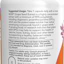 Now Supplements, Grape Seed Extract, Maximum Strength 500 mg, 90 Veg Caps (EXP 02/01/28)