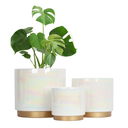 Gepege White Indoor Pots for Plants, Ceramic Planter with Drainage Hole, (2 Pack) 9.6inch +6Inch. Succulent Orchid Flower Pot - Rainbow Pearl Glaze