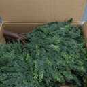 LUWENER 23.6Inch Artificial Cedar Topiary, 2 Pack UV Resistant Faux Evergreen Shrubs with Ground Spikes, Indoor Outdoor Potted Plants for Porch, Garden, Front Door Decor (Cyress)