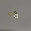 Pet Dwelling QR Pet Tag  Easy Scan Instant Location Alerts, Online Pet Profile with AI Feature for Dogs & Cats (Lux Gold White Paw)