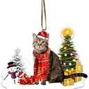 3 x American Shorthaired Technically Cat Ornament, Acrylic Christmas Tree Hanging, 2023 Funny Cat Lover Xmas Decoration