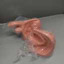 Male and Female Catheterization Models Internal and External Genital Anatomy Models for Clinical Teaching and Medical Education Training Practice, 2 Pieces