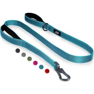 TwoEar 6FT 1IN Strong Blue Dog Leash with 2 Padded Handles, Traffic Handle Extra Control, Comfortable Soft Dual Handle, Auto Lock Hook, Reflective Walking Lead for Small Medium and Large Dogs