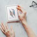 Twigs Paper - Assorted American Birds Greeting Cards - Stationery Cards with Envelopes - Thank You Card - Blank Note Cards - Greeting Cards for All Occasions - Made in USA (5.5 x 4.25, Set of 12)