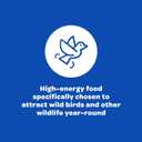 Kaytee Peanuts in Shell, 5 lb (EXP 11/28/25)