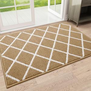 Finchitty Indoor Door Mat, Dirt Resistant and Absorbent, Low-Profile, Non-Slip, Washable Inside Floor Mats for Front Door, Back, and Entrance, 36" x 24", Beige