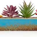 ARTKETTY Succulent Pots - 9.8 Inch Large Succulent Planters with Drainage, Long Rectangle Window Sill Planters, Shallow Ceramic Pot for Indoor Cactus Flower Plants (Plants Included), Blue