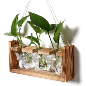 Butterfly Vase Propagation Stations: Glass Plant Terrarium with Wooden Stand for Home Office Desk Decor, Unique Gifts for Plant Lovers Women Mom 3 Pcs