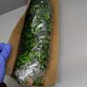 Waipfaru 4Pcs Fake Hanging Plants 2.7ft Fake Plants Eucalyptus Leaves UV Resistant Fake Vines Ivy Artificial Plants Outdoor Faux Plants Indoor Bedroom Living Room Boho Wall Porch Shelf Decor