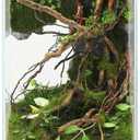 Desktop Glass Plant Terrarium with Grow Light(L7.8 W7.8 H14), for Succulent, Moss, Miniature Gardening Landscape, Betta Fish Tank, Indoor Plant Growth, Office Home Decoration (TimeControlled)