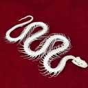 Taxidermy Real Animals Skulls, Real Bones Specimen, Taxidermy Supplies for Science Education, Special Gift (Snake Skeleton)