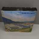 Dallisten 3 Strands Italian Ruscus Artificial Vines, 73" Silk Vine Garland with Green Leaves, Fake Hanging Plants Greenery Decor for Home, Bedroom, Wall, Party, Wedding Decoration