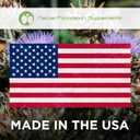 Natural Foundation Supplements Milk Thistle Supplement 240 Tablets Daily Liver Support 70mg 100:1 Extract 3rd Party Tested 80% Silymarin Made in The USA (240), Best Before March 2026