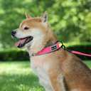 Dog Collar for Small Medium Large Dogs, Reflective, Adjustable Heavy Duty Dog Collar, Soft Neoprene Padded Comfortable for Walking (Pink, M)