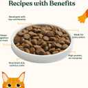 Made by Nacho Dry Cat Kibble 4lb Bag, High Protein and Grain-Friendly Premium Cat Food, Sustainably Caught Salmon and Pumpkin, Infused with Bone Broth for Hydration, Limited Ingredients, Single Bag