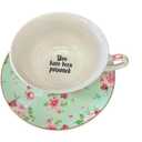 Three Black Cats Bone China "You've been poisoned- Bye" Tea Cup and Saucer Set, 8 Oz, Sea Foam Green and Pink Rose Pattern, Gold Trim