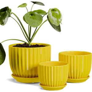 Ton Sin Ceramic Flower Pots,Yellow Plant Pots for Indoor Plants,4.1+5.1+6.5 inch Ceramic Plant Pots with Tray,Medium Indoor Planters for Aloe Cactus Decorative Pots with Drainage Hole (Set of 2) (Yelllow)