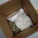 PHILIPS Hue Smart 100W PAR38 LED Bulb, 2 Pack, White & Color Ambiance Color-Changing Light, 1300LM, E26, Outdoor Light Bulbs, Control with Hue App, Works with Alexa, Google Assistant and Apple Homekit