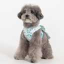 Pinkaholic New York Amabel Dog Harness Flower Pattern Fashionable Cute Spring Summer Harness for Small Dogs, Aqua, Small