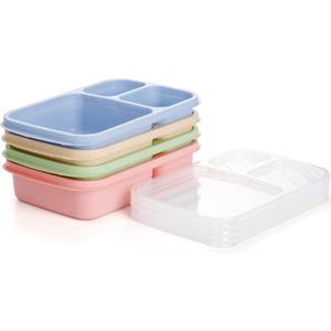 5 puck Lunch Box Multicolor