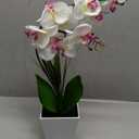 HOMESEASONS Orchid Lamp-LED Lighted Orchid Arrangements,Pre Lit Artificial Orchid,Light Up Flower Lights, Faux Orchid Phalaenopsis Arrangement (White)