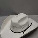 Twister Men's Painted Bangora Maverick Cowboy Hat (7 1/2, Natural)
