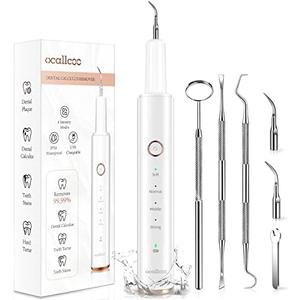 Plaque Remover for Teeth, Electric Tooth Cleaner Tartar Remover for Teeth with LED Light,4 Modes Rechargeable Teeth Cleaning Kit with Dental Tools, 2 Replaceable Heads (White A)