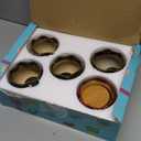Cute Ceramic Succulent Garden Pots, Planter with Drainage and Attached Saucer, Set of 5 -Plants Not Included (Fambe)
