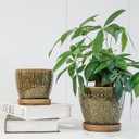 Docrin Dark Green Ceramic Planter Set - 6.6"+5.5" Indoor Outdoor Pots with Drainage Holes & Saucers for Home Office Decor