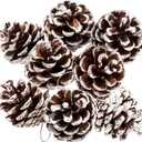 Whaline 25Pcs Christmas Natural Pine Cones Bulk Rustic Snow Pinecones with String Pine Cone Pendant Winter Holiday Hanging Ornament for Xmas Tree Gift Tag Party Decoration, 1.6-2 Inch