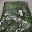 Kalolary Scindapsus Artificial Ivy Garland 84 Feet 12 Strands Leaves Vine Green Plants Garland Hanging Fake Plants Canvas Background Wedding Arch Wall Jungle Table Party Office Decoration (Scindapsus)