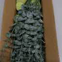 Giegxin 90 Pcs 3 Kinds Mixed Artificial Eucalyptus Leaves Stems Bulk Silver Dollar Leaves Picks Dried Eucalyptus Bundle Faux Spray for Wedding Vase Bouquet Floral Arrangement (Green)