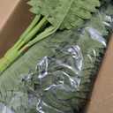 FOREST PRINCE 42" Artificial Boston Fern Large Bush Plants, 2 Bundles of Fake Ferns with 65 Fronds for Outdoors Home Decor
