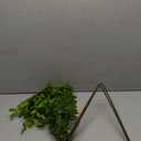 2Pcs Artificial Greenery Stems, 43.7" Nandina Branches Tall Faux Plant Stems for Vase, Greenery Decor Stems Leaves Bunches for Shop Garden Office Home Dcor (Green2)