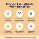 Javvy Protein Iced Coffee - Premium Whey Protein & Iced Coffees, 100% Natural Cold Brew, Zero Artificial Flavors & Sweeteners, 80mg Caffeine, No Added Sugar, 20 Servings, Cookie Dough, 1 Pack, EXP: 05/2028