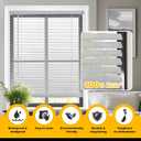 LazBlinds Cordless 1" Vinyl Mini Blinds for Indoor Windows - Light Filtering Horizontal Window Blinds & Shades, 45" W x 64" H, Grey