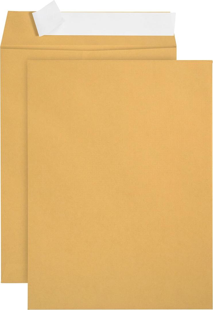 100 6 x 9 Self Seal Golden Brown Kraft Catalog Envelopes - Oversize 6 x 9 Envelope Peel and Seal Flap with 28 Pound Kraft Paper Envelopes - Printer Friendly Design - 100 Count