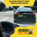 4 x Student Driver Magnet for Car - Funny Animals Please Be Patient Reflective Magnetic Bumper Sticker - Removable Novice Rookie Safety Attention Sign - Weather-Resistant - 10 x 3.5 inch (Cat)