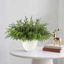 30Pcs Realistic Norfolk Pine Branches -18Inch Artificial Real Touch Christmas Pine Stems Picks Greenery Fake Cedar Pine Branch for Vase DIY Crafts, Xmas Indoor Outdoor Home Decor