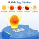 Chicken Egg Incubators for Hatching Eggs, 18 Egg Incubator with Automatic Egg Turning, Digital Control, 2 Egg Trays, Candler & Automatic Water Refill for Chicken Quail Duck Turkey Goose Bird