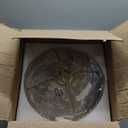 15 Inch Flush Mount Ceiling Light, HWH 3-Light Modern Close to Ceiling Light Fixtures Brushed Gold Finish for Kitchen Porch Foyer with Hammered Water Ripple Glass, 5HTJ102WG-F BG