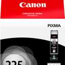 Canon PGI-225 Genuine Black Ink Tank, Compatible with iP4820, MG5220, MG5120, MG8120, MG6120, MX882, iX6520, iP4920, MG5320, MG6220, MG8220, and MX892 Printers