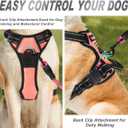 BARKBAY No Pull Dog Harness Front Clip Heavy Duty Reflective Easy Control Handle for Large Dog Walking(Light Pink,S)