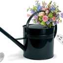 2.5-Gallon Metal Watering Can,9.5L Large Galvanized Watering Can for Outdoor Plants with Removable Long Spout Silver Handle