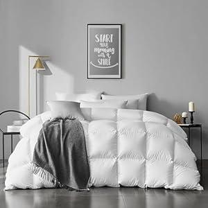 APSMILE Queen Size Feathers Down Comforter - Ultra Soft All Seasons 100% Organic Cotton Duvet Insert Medium Warm Quilted Bed Comforter with Corner Tabs (90x90, Ivory White)